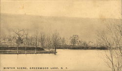 Winter Scene Greenwood Lake, NY Postcard Postcard Postcard