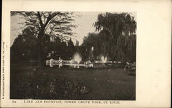 Lake and Fountain, Tower Grove Park St. Louis, MO Postcard Postcard Postcard