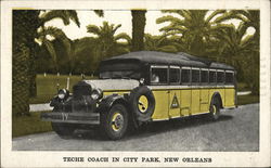 Teche Coach in City Park - Teche Transfer Co., Inc. Postcard