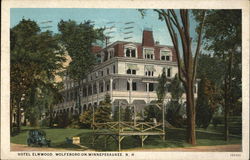 Hotel Elmwood Postcard