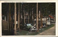 Cabins in the Pines, Lake Shore Park Gilford, NH Postcard Postcard Postcard