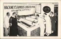 Hackney's Famous Lobster Pool Postcard