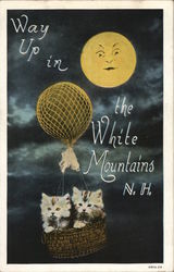 Way Up In the White Mountains N.H. Postcard