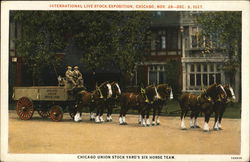 International Live Stock Exposition - Chicago Union Stock Yard's Six-Horse Team Postcard