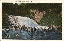 Fall Creek Gorge Ithaca, NY Postcard Postcard Postcard