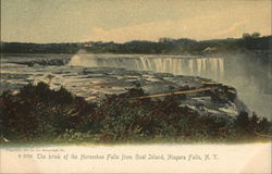 The Brind of the Horseshoe Falls from Goat Island Niagara Falls, NY Postcard Postcard Postcard