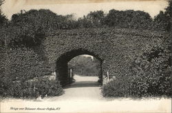 Bridge over Delaware Avenue Postcard