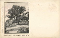 "Willow Tree Corner" Viola, NY Postcard Postcard Postcard