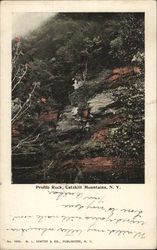 Profile Rock Catskill, NY Postcard Postcard Postcard