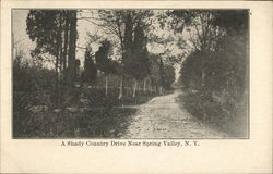 A Shady Drive Near Spring Valley Postcard