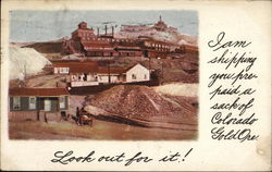 I Am Shipping You Prepaid a Sack of Colorado Gold Ore Mining Postcard Postcard Postcard