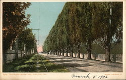 Haywards Boulevard Oakland, CA Postcard Postcard Postcard