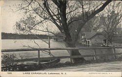 Lake Carasaljo Lakewood, NJ Postcard Postcard Postcard