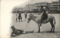 Couple and Donkey on the Beach Atlantic City, NJ Postcard Postcard Postcard