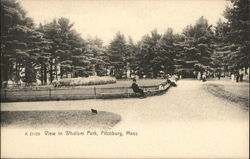 View in Whalom Park Fitchburg, MA Postcard Postcard Postcard