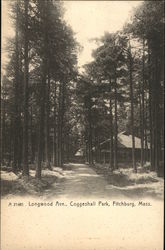 Longwood Avenue, Coggeshall Park Fitchburg, MA Postcard Postcard Postcard