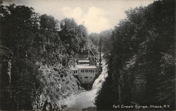 Fall Creek Gorge Ithaca, NY Postcard Postcard Postcard