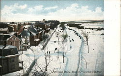 Western Promenade in Winter Postcard