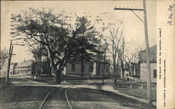 The Eliot Oak Postcard