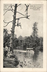 "Come In the Water Is Fine", Riverside Park Findlay, OH Postcard Postcard Postcard