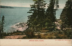 Spruce Point Postcard