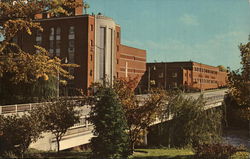 Carling Brewing Company Postcard