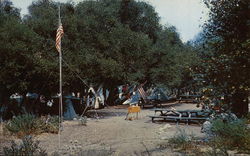 Camp Cedar Canyon Postcard