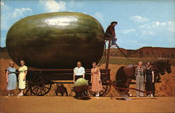 Actual Photograph of a California Grown Watermelon Taken After it was Loaded on the wagon Exaggeration Postcard Postcard Postcard