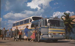 America's Favorite Bus: The Super Scenicruiser Buses Postcard Postcard Postcard