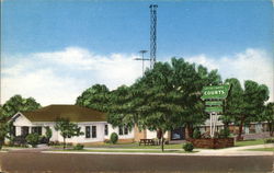 Green and White Courts Postcard