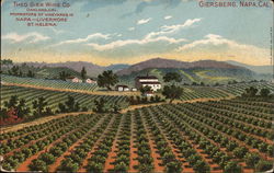 Theo. Gier Wine Co., Giersberg, Napa Oakland, CA Postcard Postcard Postcard