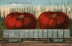 A Carload of Tomatoes From ___________ Exaggeration Postcard Postcard Postcard