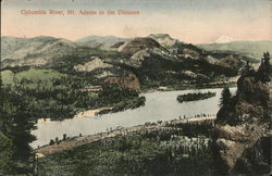 Columbia River, Mt. Adams in the Distance Postcard