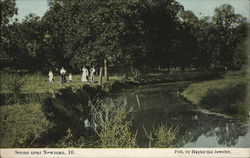 River Scene Newman, IL Postcard Postcard Postcard