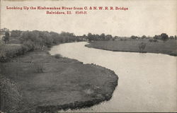 Looking Up the Kishwaukee River from C. & N.W.R.R. Bridge Belvidere, IL Postcard Postcard Postcard