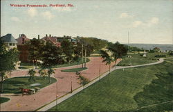 Looking Along Western Promenade Portland, ME Postcard Postcard Postcard