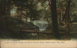 The Rustic Bridge and Pond, Hemlock Gorge Postcard