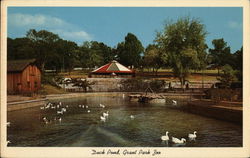 Grant Park Zoo Atlanta, GA Postcard Postcard Postcard