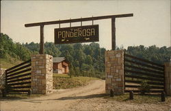 The Ponderosa Game Reserve and Stone Lodge Postcard