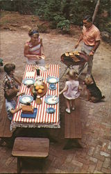 1950's Family BBQ Camping Postcard Postcard Postcard