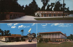 New Egret Motel Ocala, FL Postcard Postcard Postcard