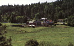 The Kingston 5 Ranch Idaho Postcard Postcard Postcard