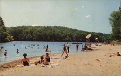 Beach at Pennyrile Forest State Park Postcard