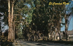 El Camino Real Burlingame, CA Postcard Postcard Postcard