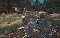 Ladies Play in a Stream Postcard