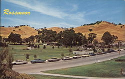 Park in Rossmoor California Postcard Postcard Postcard