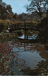 Hakone Gardens Postcard