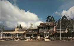 Neale's Hollow Saratoga, CA Postcard Postcard Postcard