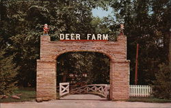 Santa's Deer Farm, Santa Claus Land Indiana Postcard Postcard Postcard