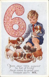 Little Boy with Six Puppies Postcard